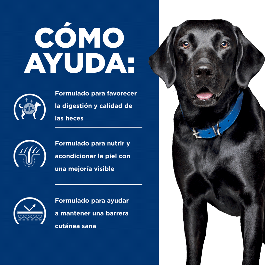 Hills d/d Salmon Alergias Alimentarias Prescription Diet Hills d/d Salmon Alergias Alimentarias Prescription Diet